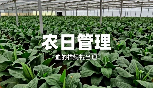 流程优化中节点可查的应用场景与实践