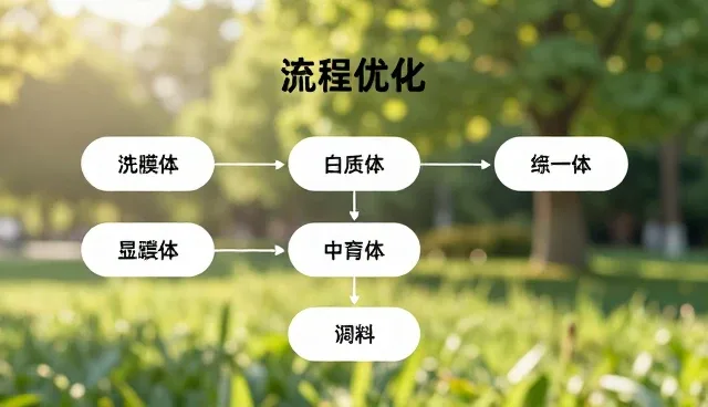 提升管理效率：品牌咨询中的关键实践路径