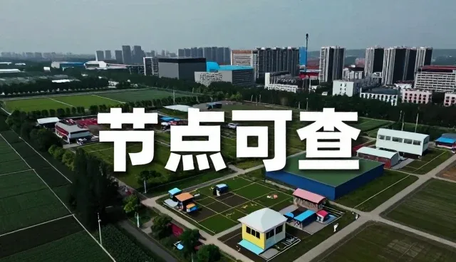 流程优化在业务应用中的关键作用与发展趋势
